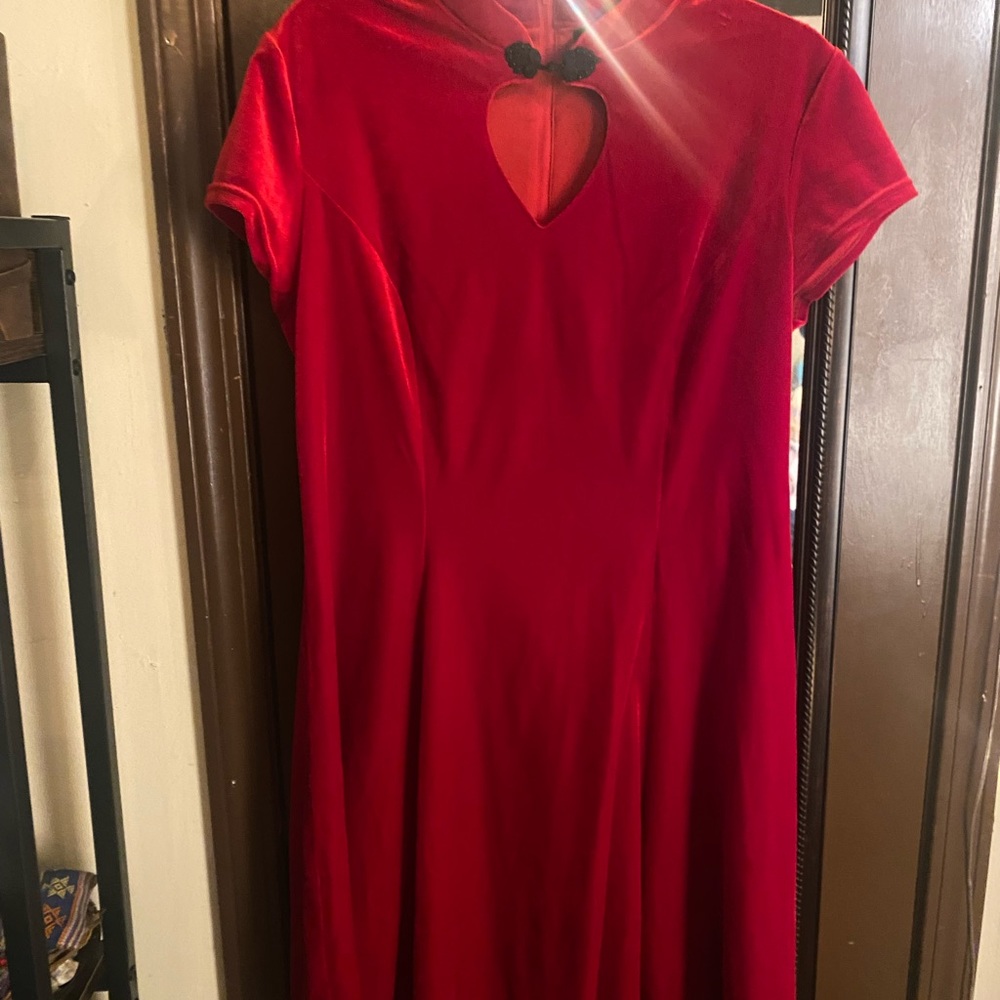 Spice Doctor Red Velvet dress